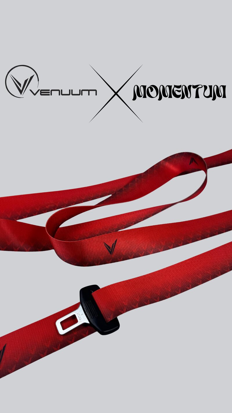 VENUUM x MOMENTUM webbing 6