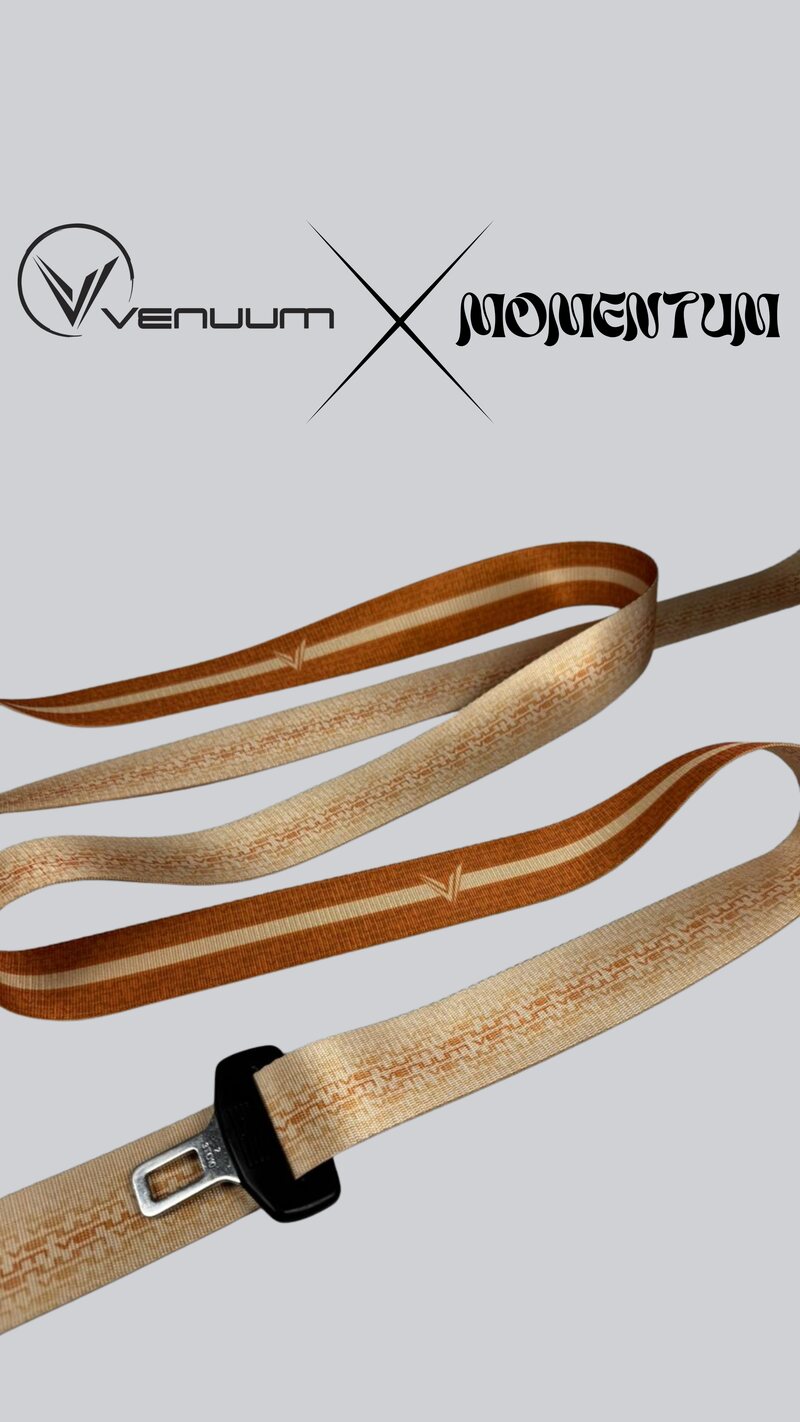 VENUUM x MOMENTUM webbing 12